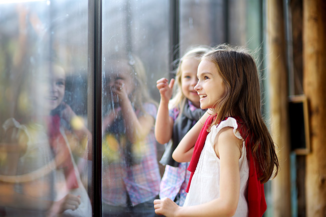 Kinderen in Wildlands met korting